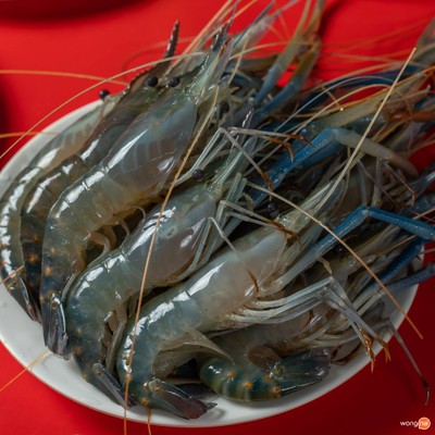 เมนูของร้าน แม่มังกร onsale ตลาดเรนโบว์ ประชาสงเคราะห์ 16