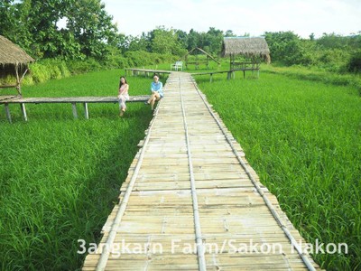 สามอังคารฟาร์ม