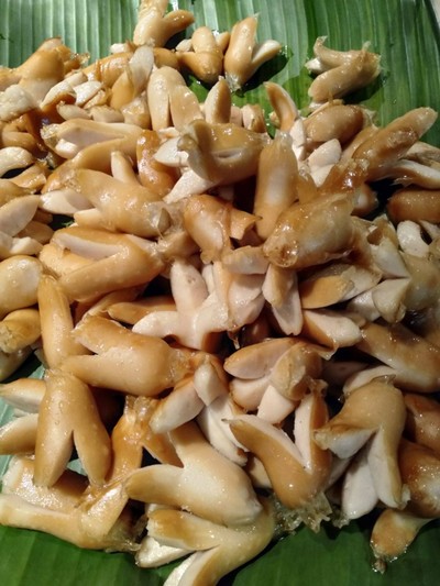 ฮอคดอก