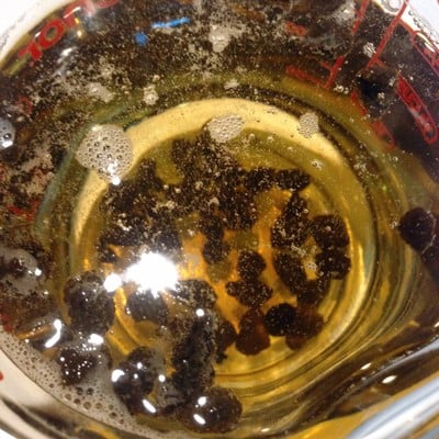 วิธีทำ ชาอู่หลงโสมน้ำผึ้ง วิธีทำ ชาอู่หลงโสมน้ำผึ้ง