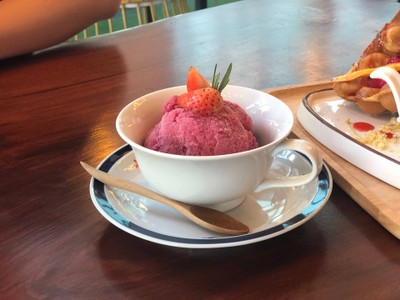 Ice cream Mix Berry Sorbets