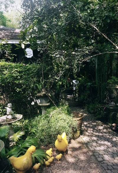 บรรยากาศ Little Tree Garden