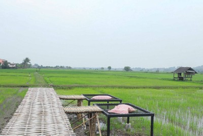 1วันกับ 7คาเฟ่เชียงราย