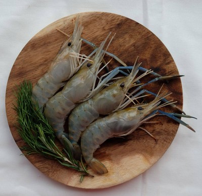 กุ้งแม่น้ำ