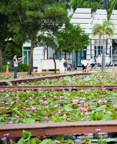 บรรยากาศ อุทยานบัวเฉลิมพระเกียรติ