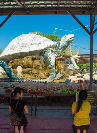 บรรยากาศ พญาเต่างอย