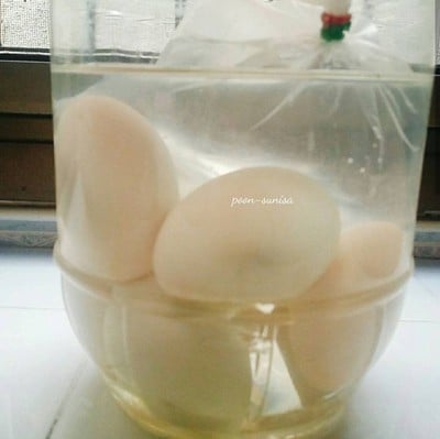 วิธีทำ ไข่เค็มดาว วิธีทำ ไข่เค็มดาว