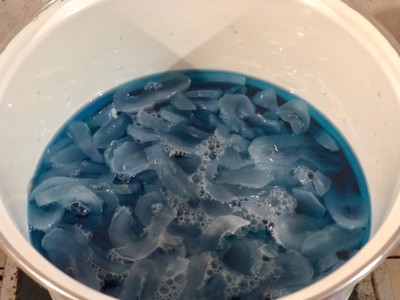 วิธีทำ ลูกตาลลอยแก้วอัญชันสูตรหวานน้อย วิธีทำ ลูกตาลลอยแก้วอัญชันสูตรหวานน้อย