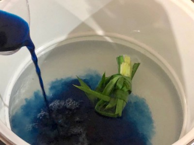 วิธีทำ ลูกตาลลอยแก้วอัญชันสูตรหวานน้อย วิธีทำ ลูกตาลลอยแก้วอัญชันสูตรหวานน้อย