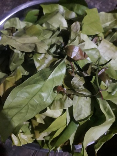 วิธีทำ ผักเหรียงผัดไข่