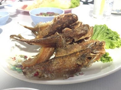 ปลาเนื้ออ่อนทอดน้ำปลา