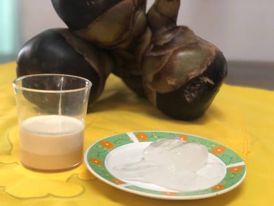 วิธีทำ ลูกตาลนมสดปั่น