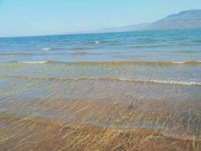 บรรยากาศ พัทยา 2