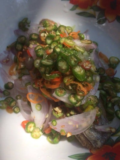 ปลาอินทรีย์ทรงเครื่อง