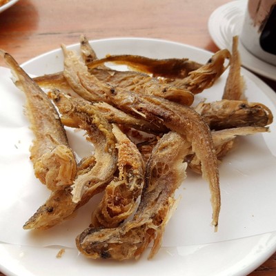 ปลาเนื้ออ่อนทอดกระเทียม