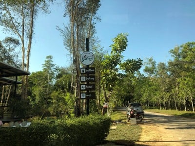 บรรยากาศ สวนพฤกษศาสตร์สากลภาคใต้