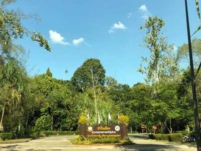 บรรยากาศ สวนพฤกษศาสตร์สากลภาคใต้