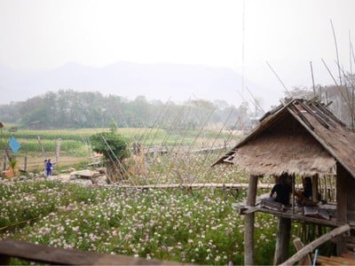 บรรยากาศ กาแฟบ้านไทลื้อ