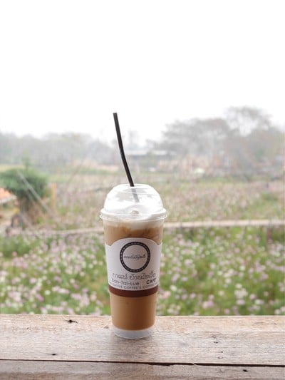 กาแฟบ้านไทลื้อ