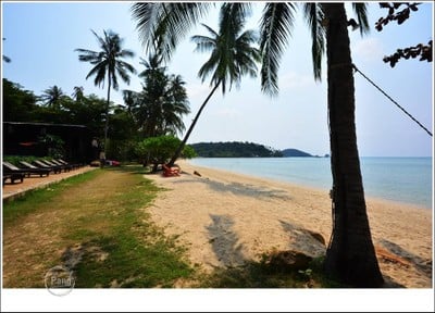 สระว่ายน้ำ/ชายหาด