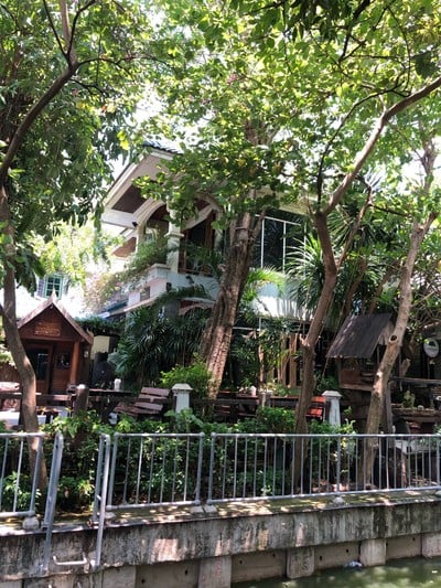 แมกไม้ชายคลอง