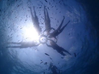 เกาะแสมสาร