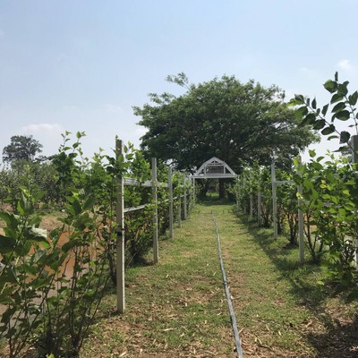 บรรยากาศ