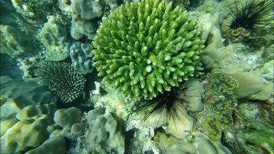 เที่ยวทะเลแบบจุกๆยั่วๆ จย้าาา
ภูเก็ต-3วัน2คืน