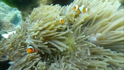 เที่ยวทะเลแบบจุกๆยั่วๆ จย้าาา
ภูเก็ต-3วัน2คืน