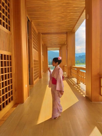 โชกุนในสมัยเอโดะเลือกใช้ไม้ชนิดนี้มาสร้างปราสาท เพราะภายในเนื้อไม้มีน้ำมันหอมค่ะ