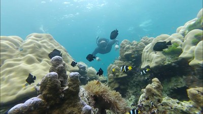 เที่ยวทะเลแบบจุกๆยั่วๆ จย้าาา
ภูเก็ต-3วัน2คืน