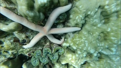 เที่ยวทะเลแบบจุกๆยั่วๆ จย้าาา
ภูเก็ต-3วัน2คืน