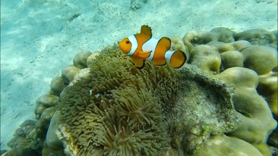 เที่ยวทะเลแบบจุกๆยั่วๆ จย้าาา
ภูเก็ต-3วัน2คืน