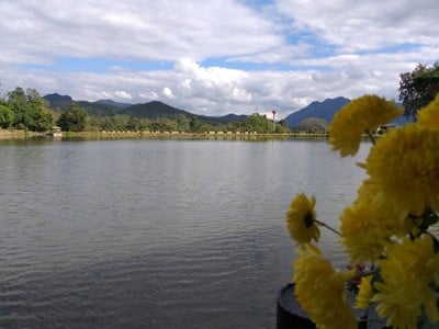 บ้านไม้หอมญี่ปุ่นฮิโนกิแลนด์ในดินแดนนพบุรีศรีนครพิงค์^^