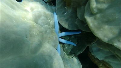 เที่ยวทะเลแบบจุกๆยั่วๆ จย้าาา
ภูเก็ต-3วัน2คืน