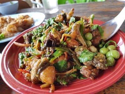 แพอาหารรุ่ง ชัยนาท