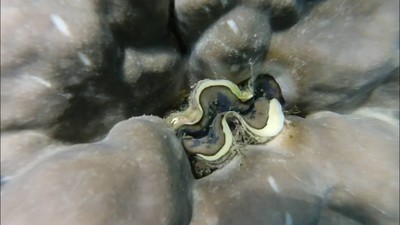 เที่ยวทะเลแบบจุกๆยั่วๆ จย้าาา
ภูเก็ต-3วัน2คืน