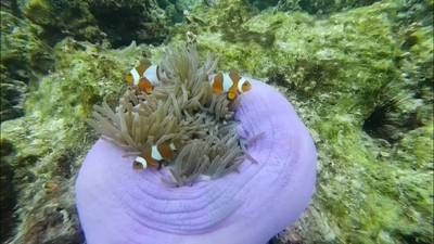 เที่ยวทะเลแบบจุกๆยั่วๆ จย้าาา
ภูเก็ต-3วัน2คืน