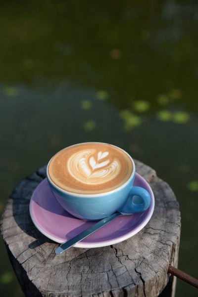 Asama Coffee&Roastery บริษัท อสมา คอฟฟี่ โรสเทอรี่ จำกัด