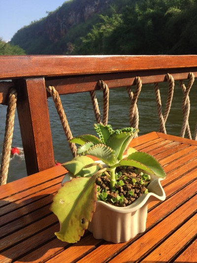 ห้องอาหาร