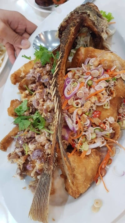 เมนูของร้าน Freshy Cafe อุทัยธานี