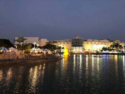 B Duck เล่นน้ำกัน