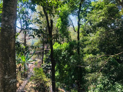 Mae Bear's holiday
@Chiangmai