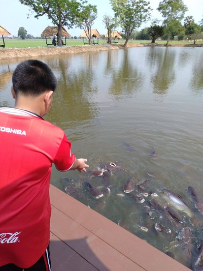 บรรยากาศ