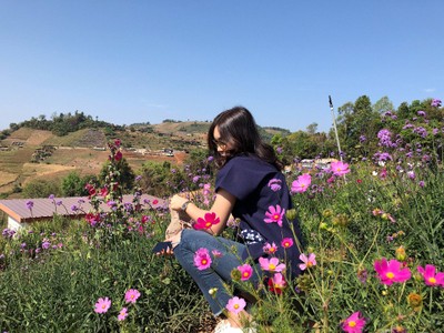 Mae Bear's holiday
@Chiangmai