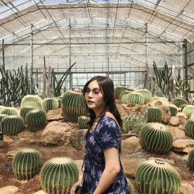 กระบองเพชร 