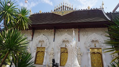 Mae Bear's holiday
@Chiangmai