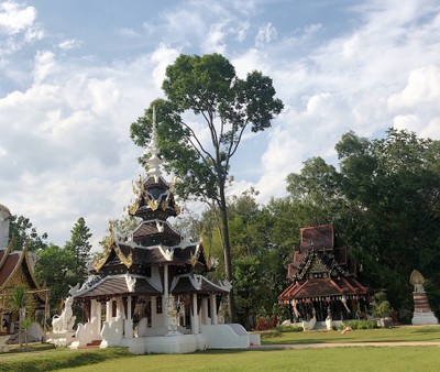 Mae Bear's holiday
@Chiangmai