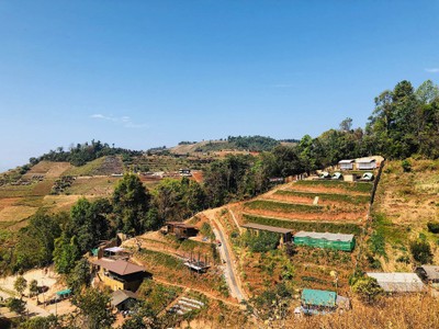 Mae Bear's holiday
@Chiangmai