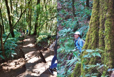 เส้นทางในการเดิน